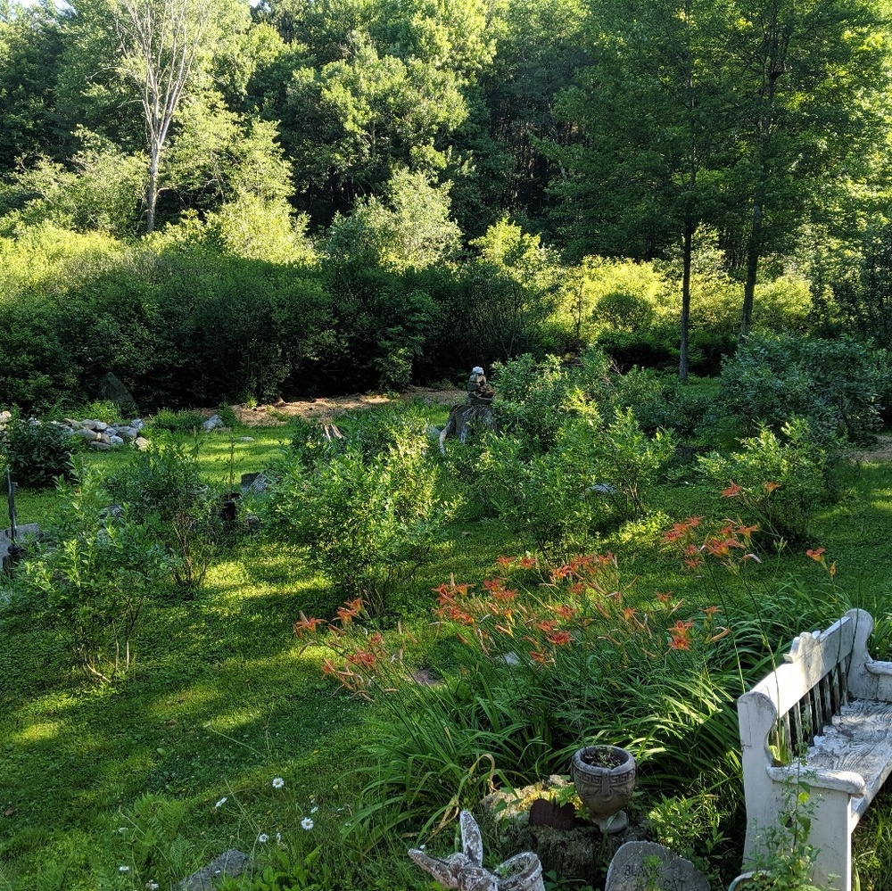 Meet the posher - Picture 4 of 7